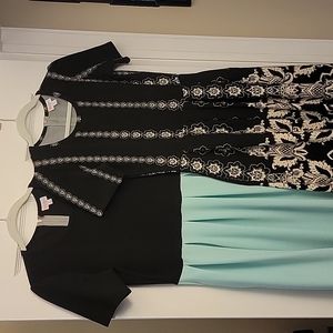 2 LuLaRoe Amelia dresses